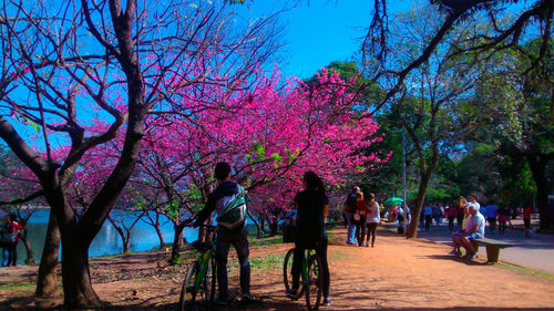 People in park