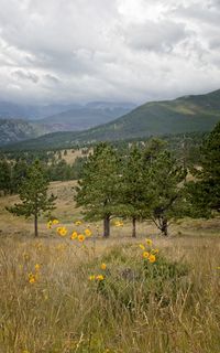 Scenic view of grassy field against cloudy sky