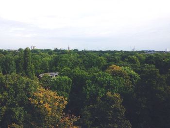 Landscape with trees in background