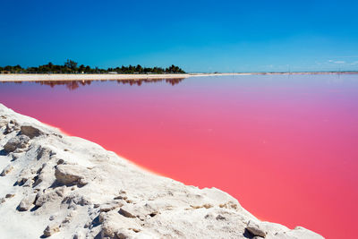 Scenic view of las coloradas lake against clear blue sky at rio lagartos on sunny day