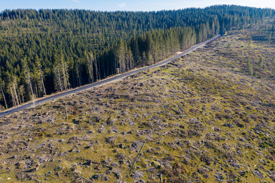 Deforestation aerial photo. drone shot of destroyed forest in romania. global warming concept