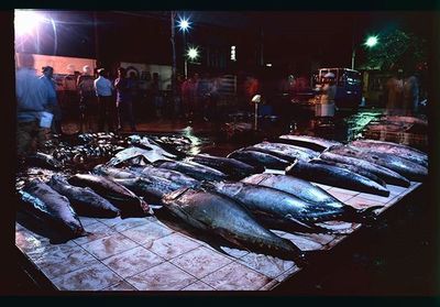 Market stall at night