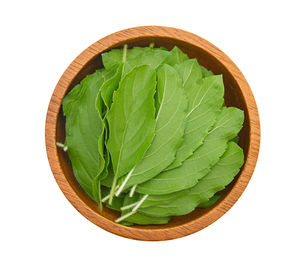 High angle view of green leaves on white background