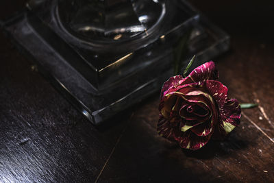 High angle view of rose on table