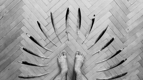 Low section of man standing amidst feathers on floorboard