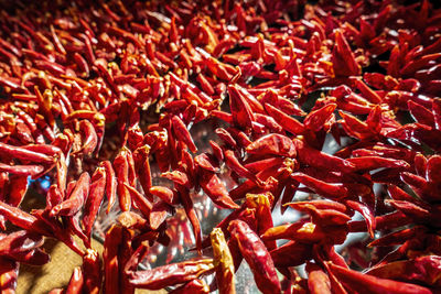 Full frame shot of red chili peppers