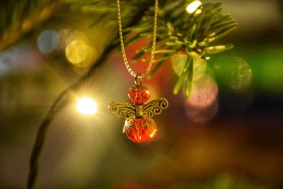 Close-up of christmas tree