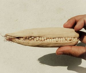 Close-up of hand holding bread