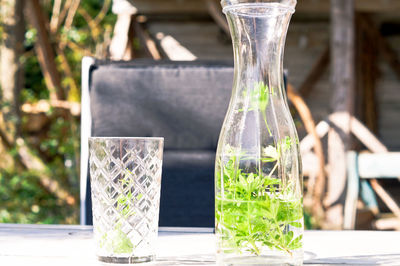 Close-up of plants in glass container on table