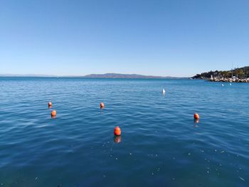 Scenic view of sea against clear blue sky