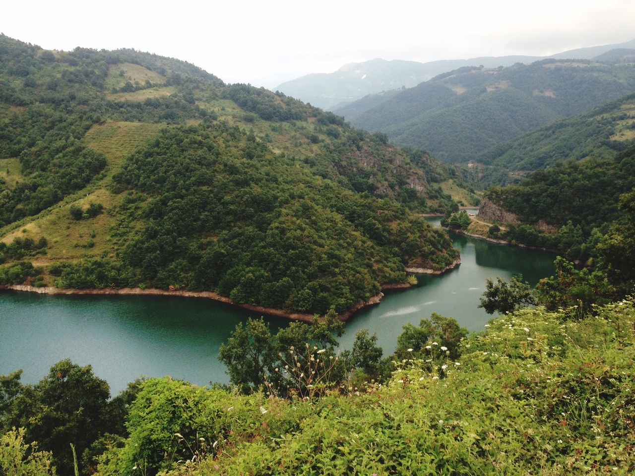 mountain, tranquil scene, tree, water, tranquility, scenics, beauty in nature, mountain range, nature, green color, lake, lush foliage, idyllic, landscape, growth, river, non-urban scene, green, forest, sky