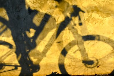 High angle view of shadow on street