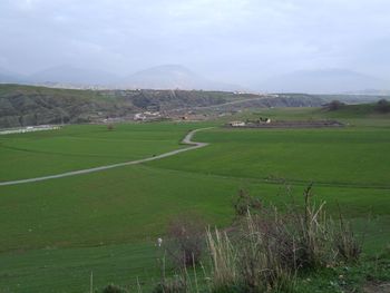 Scenic view of field against sky