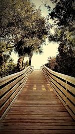 View of wooden boardwalk