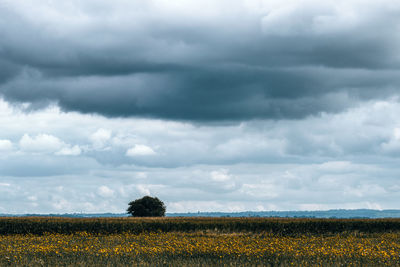 Scenic view of field against cloudy sky