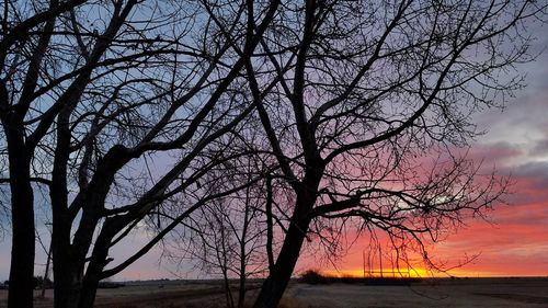 Silhouette bare tree against sky during sunset