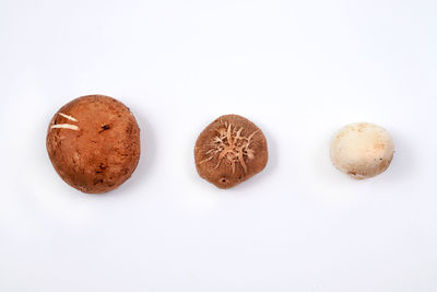 Directly above shot of mushrooms against white background