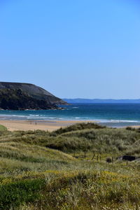 Scenic view of sea against clear blue sky