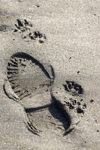 High angle view of footprints on sand