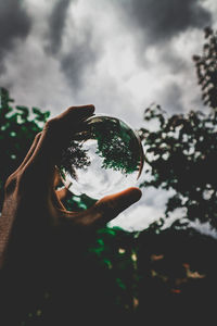 Reflection of person hand holding crystal ball against trees