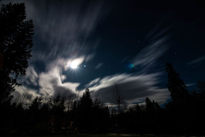 Low angle view of silhouette trees against sky at night