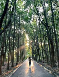 Rear view of man walking in forest