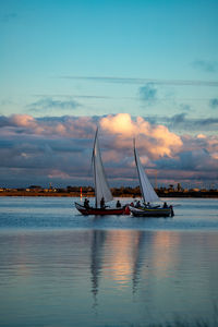 Sailboat sailing on sea against sky