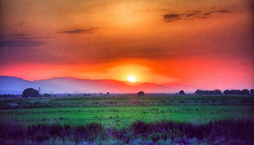 Scenic view of landscape at sunset