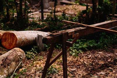 Wooden logs in forest