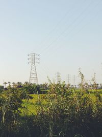 Plants growing on field