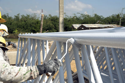 View of an animal on railing