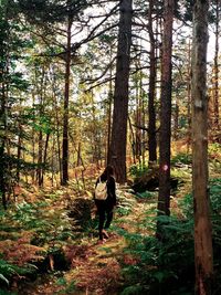 Rear view of man walking in forest
