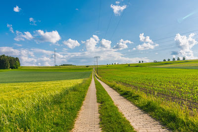 Scenic view of agricultural field against sky