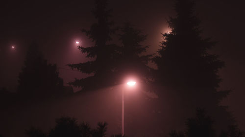 Low angle view of silhouette trees against sky at night