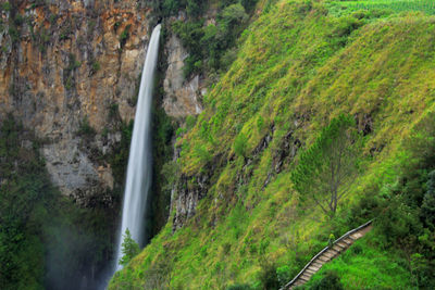Scenic view of waterfall in forest