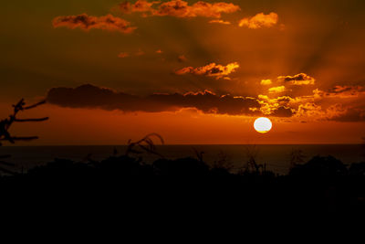 Scenic view of silhouette trees against orange sky