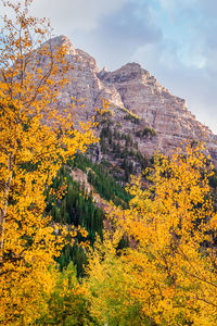 Scenic view of mountains against sky during autumn