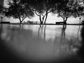 Reflection of trees in calm water
