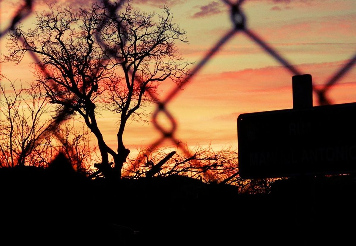 sunset, silhouette, orange color, bare tree, tree, sky, branch, nature, tranquility, scenics, beauty in nature, dusk, tranquil scene, landscape, built structure, outdoors, no people, building exterior, focus on foreground, idyllic