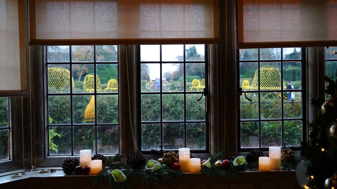 window, indoors, home interior, tree, window frame, nature, plant, day, no people, domestic life, domestic room, architecture