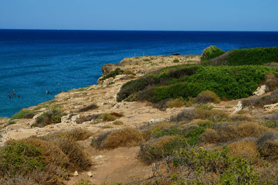 Scenic view of sea against clear blue sky