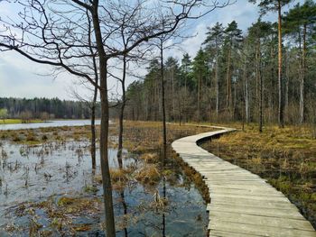 Scenic view of river in forest against sky