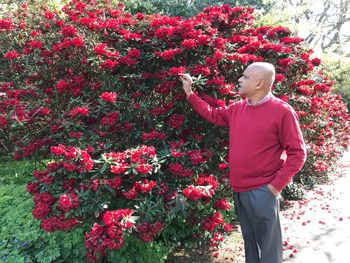 Rear view of man standing by red flowering plants