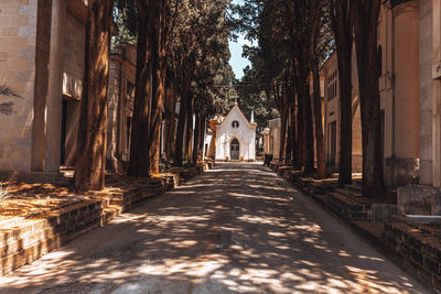 Alley amidst buildings in city
