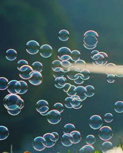 Close-up of bubbles against blurred background