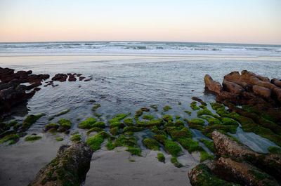 Scenic view of sea against clear sky