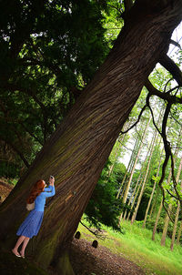 Tree trunk in forest