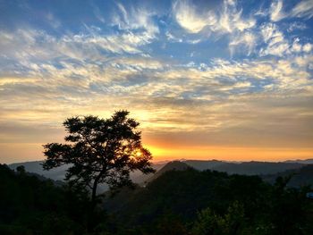 Low angle view of silhouette trees against sky at sunset