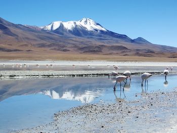 Scenic view of lake by mountains against sky