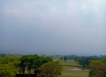 Scenic view of trees on field against sky